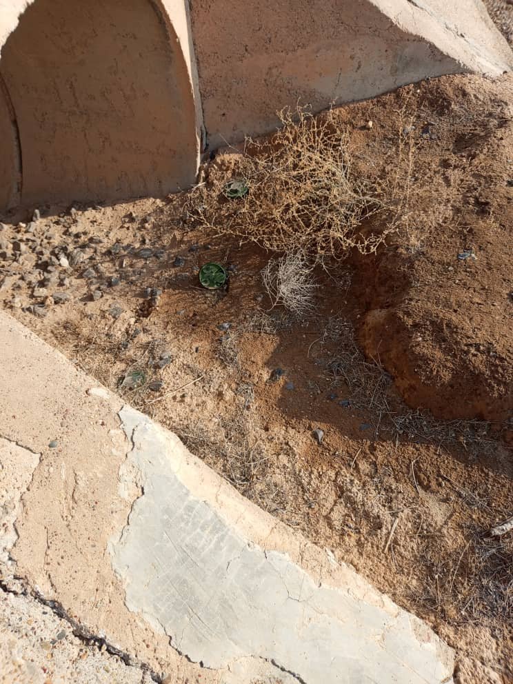 WhatsApp Image 2025-01-14 at 12.53.48