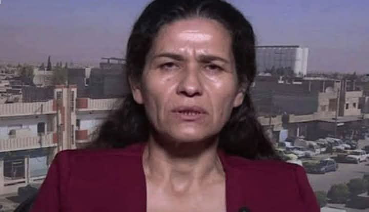 FB_IMG_1748430112780