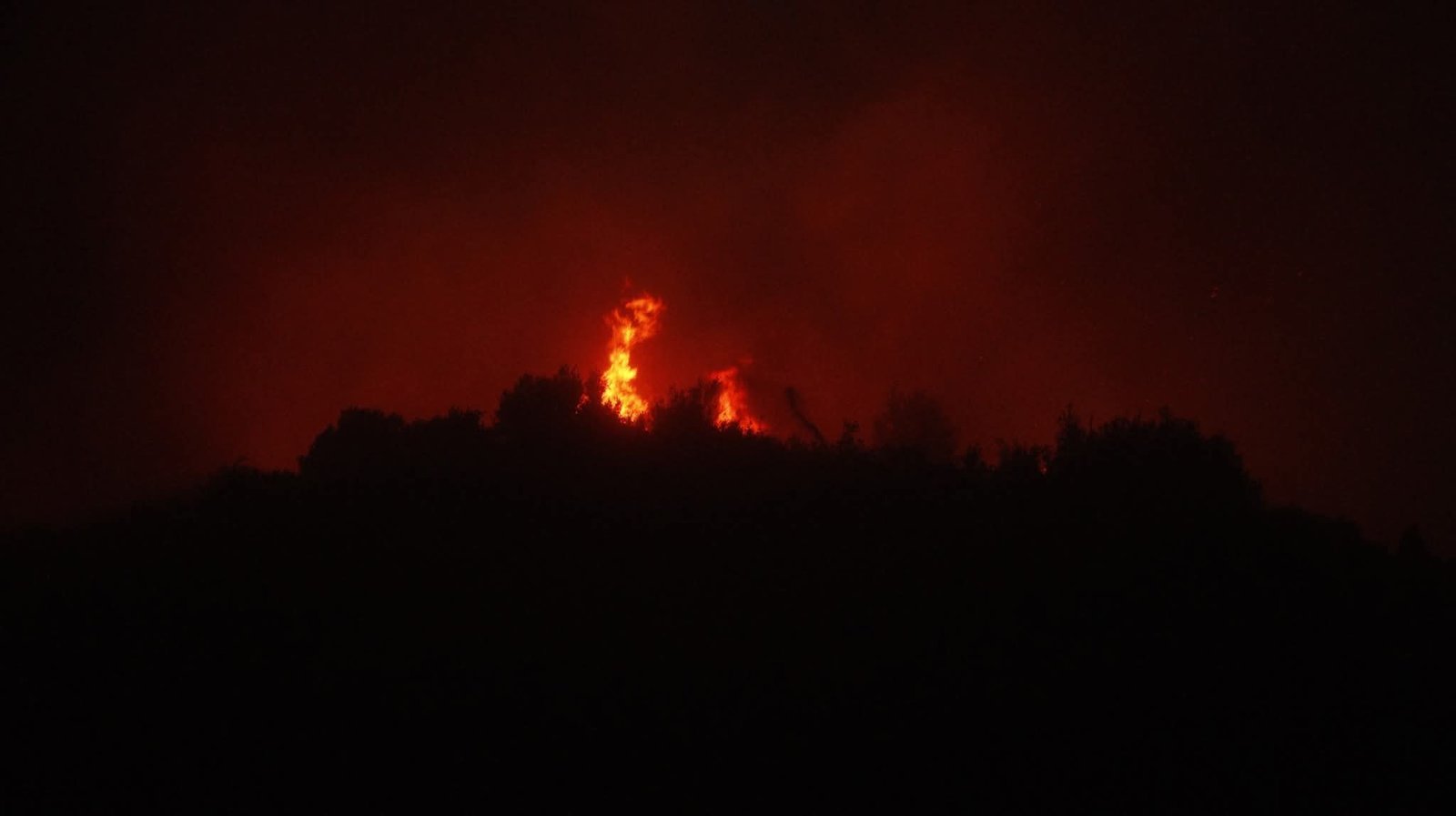 FB_IMG_1756126114831