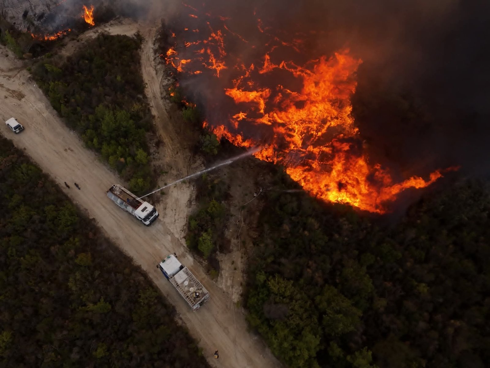 FB_IMG_1758467185442