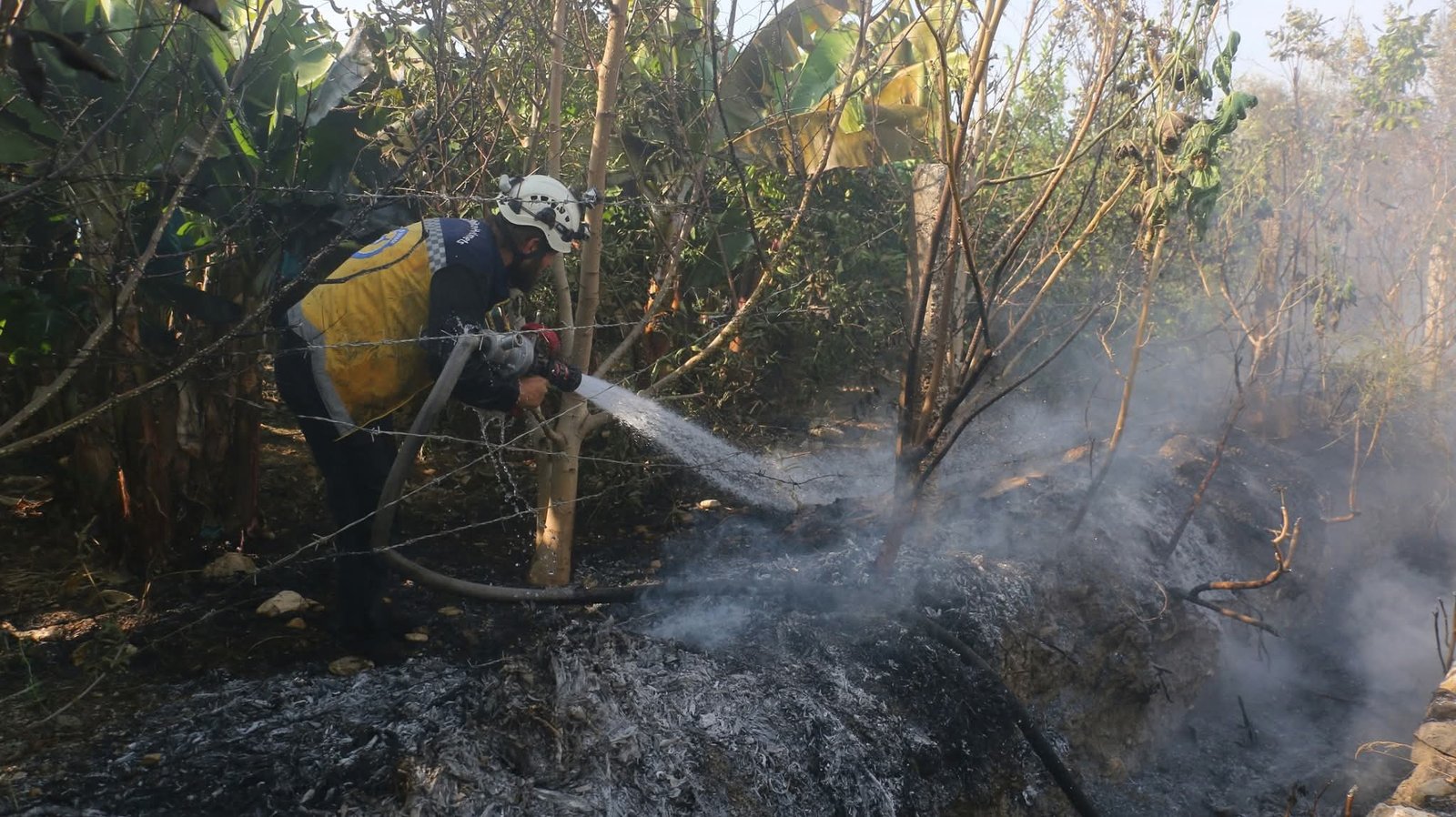 FB_IMG_1762434512558