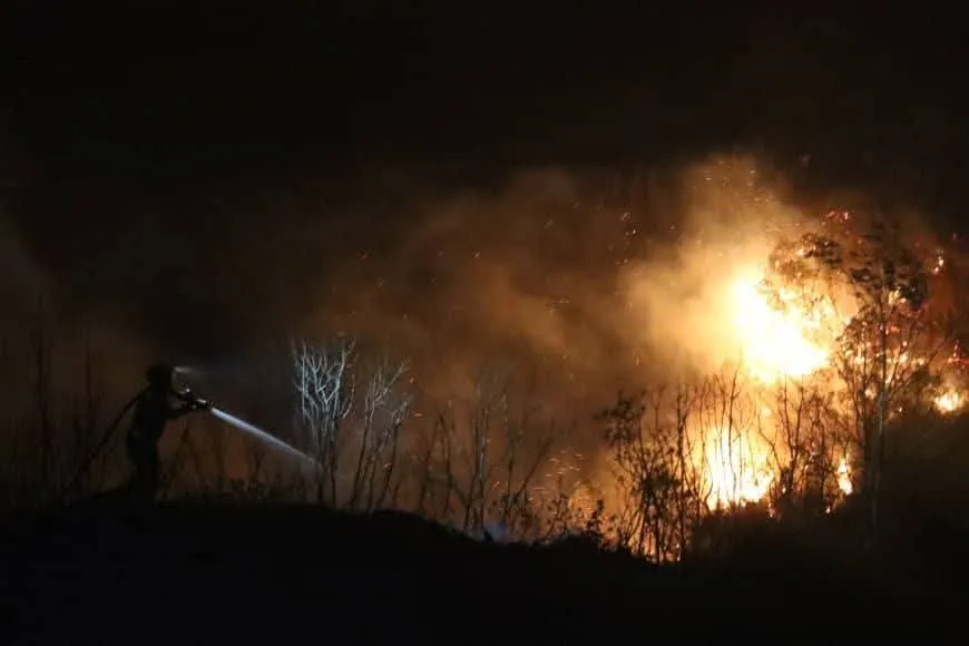 حرائق ريف اللاذقية