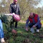 740427c6-706b-4d83-ad95-287956e461f3