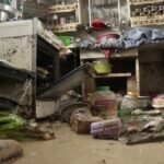 e53f06c9-782e-4191-8d0a-9121eacfda71