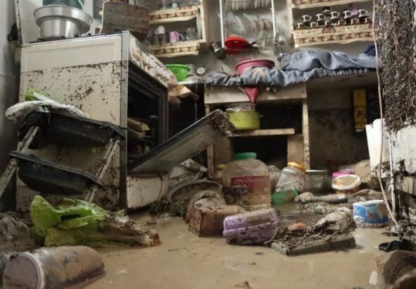 e53f06c9-782e-4191-8d0a-9121eacfda71