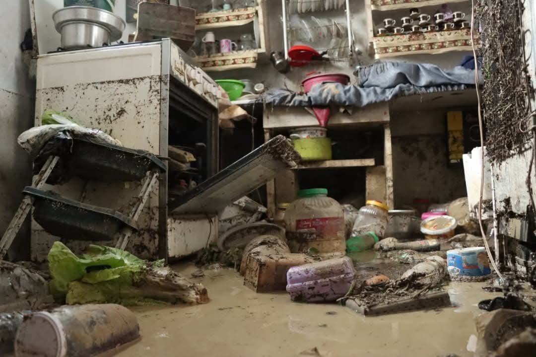 e53f06c9-782e-4191-8d0a-9121eacfda71