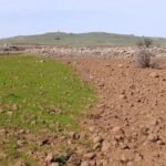 eae087a6-2212-480b-82e6-09765fa4ed68