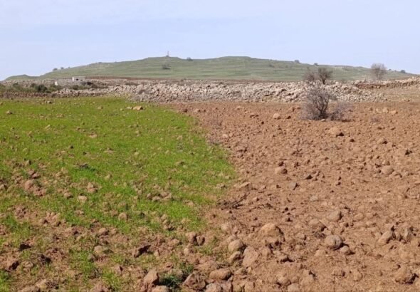 eae087a6-2212-480b-82e6-09765fa4ed68