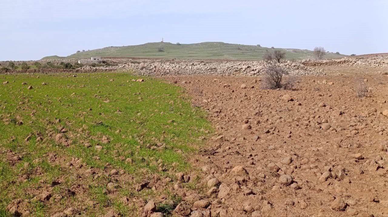 eae087a6-2212-480b-82e6-09765fa4ed68