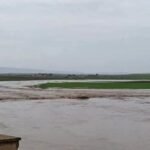 21e9dd33-890e-47f6-b352-2f7045a5e620