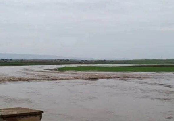 21e9dd33-890e-47f6-b352-2f7045a5e620