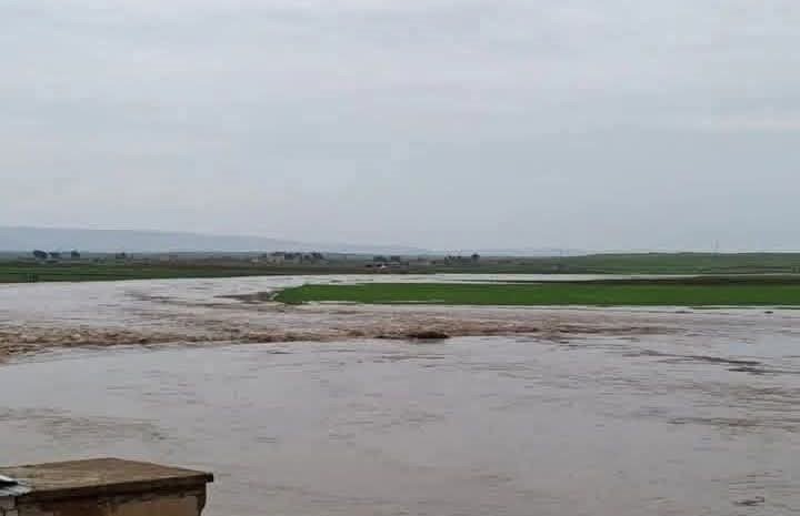 21e9dd33-890e-47f6-b352-2f7045a5e620