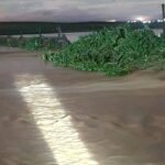 WhatsApp Image 2026-03-30 at 6.44.39 PM