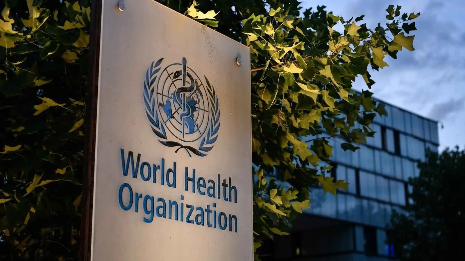 a7050a28-15f9-4d30-800b-4d7c73182663