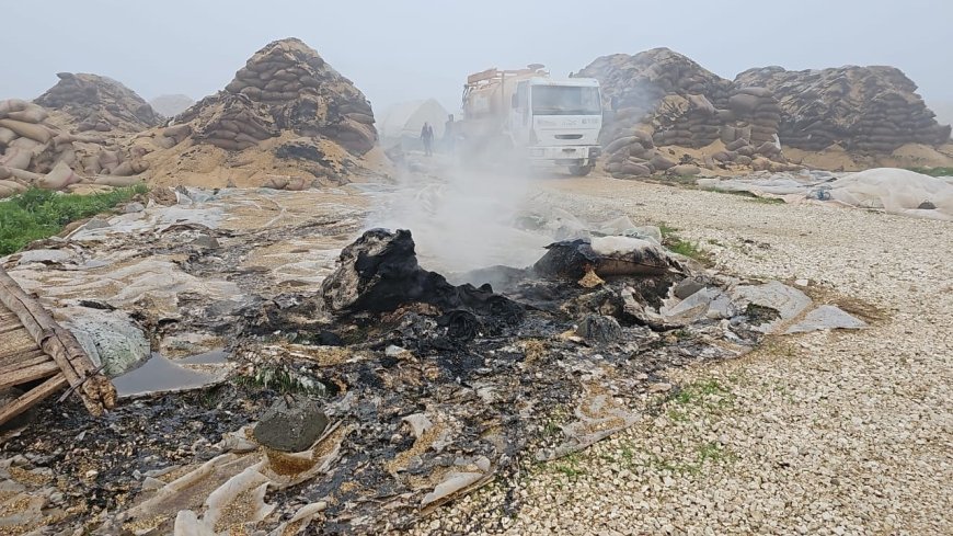 image_870x_69c8d71810e0f