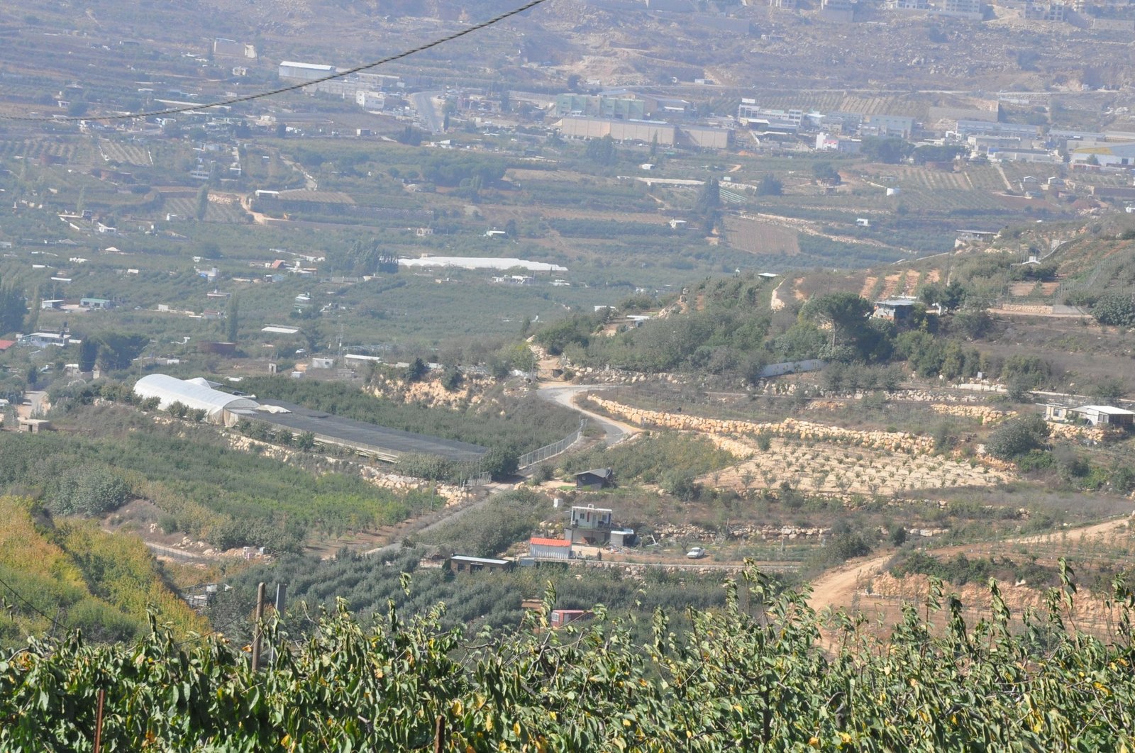 الجولان